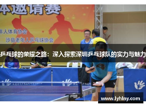 乒乓球的荣耀之路：深入探索深圳乒乓球队的实力与魅力
